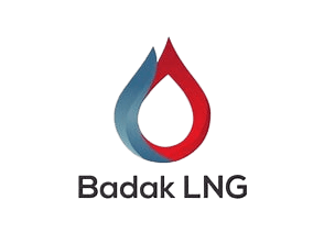 Customer Logo 8